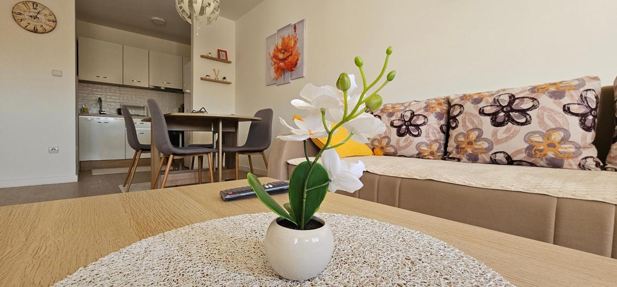 Apartman Vukota 2 Pirot Luaran gambar