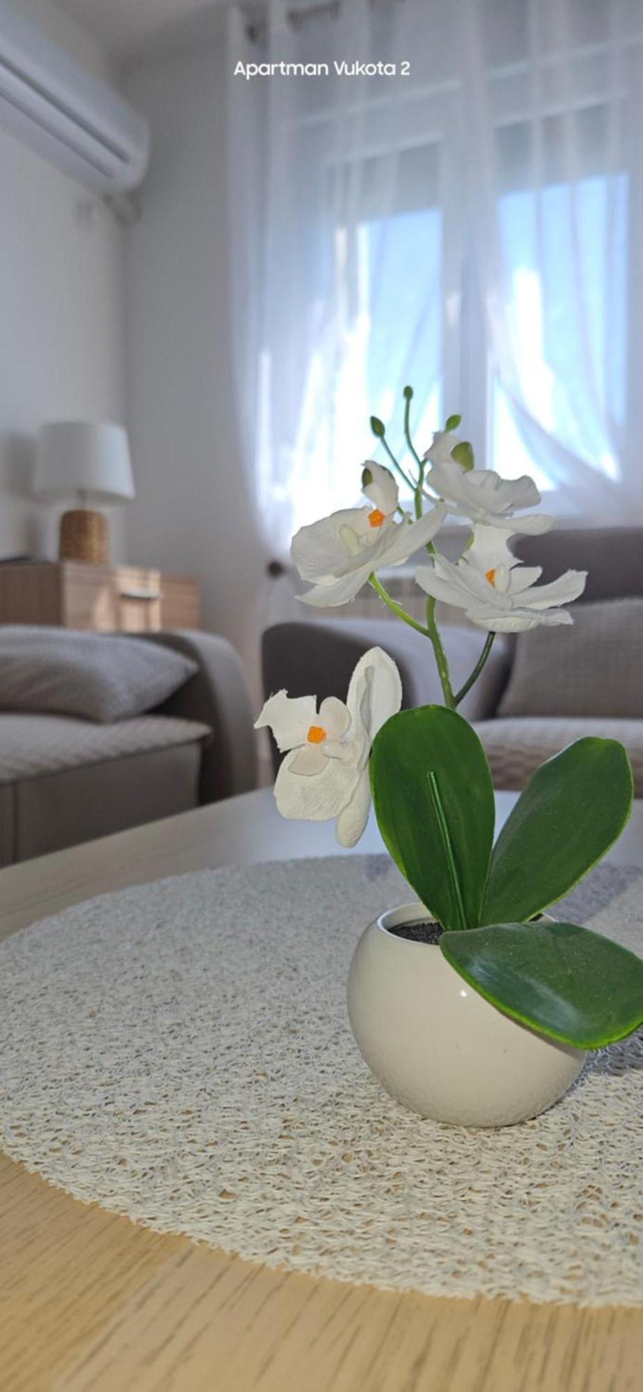 Apartman Vukota 2 Pirot Luaran gambar